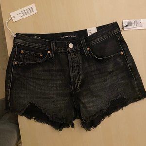 Aritzia Denim Forum Ex Boyfriend Black Shorts